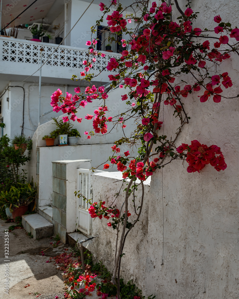 Naklejka premium House with flower bush.