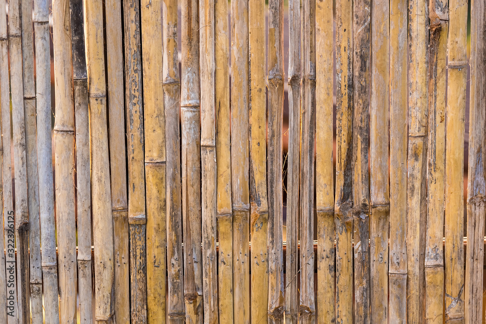 Bamboo fence texture background. Bamboo fence texture background.