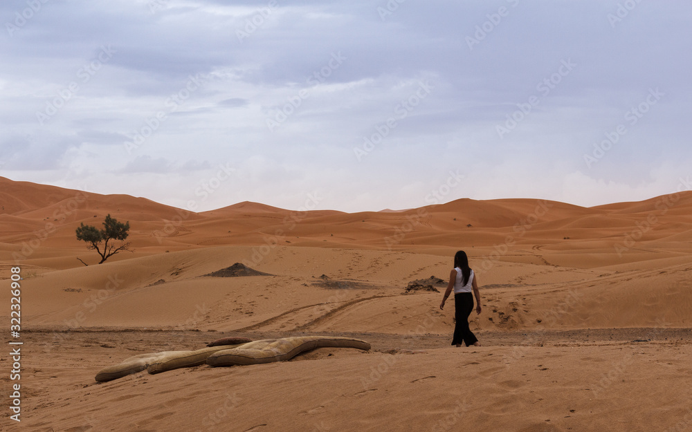 view of the desert in morocco