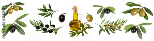 Collage of olives, olive branches, olive oil bottles photo