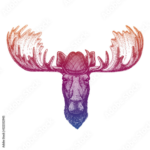 Vector moose, elk. Bavarian traditional hat. Tirol austrian hat. Beer Oktoberfest character portrait.