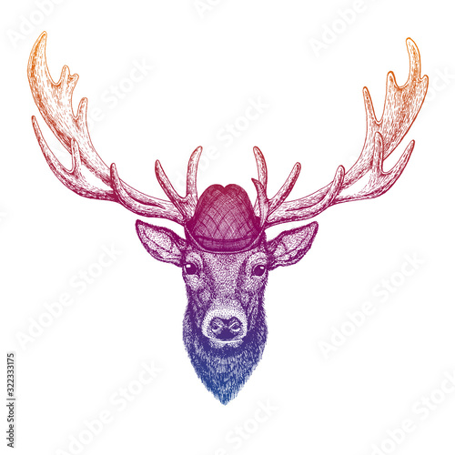 Vector deer. Bavarian traditional hat. Tirol austrian hat. Beer Oktoberfest character portrait.