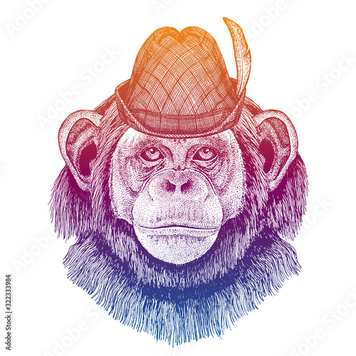 Vector monkey, chimpanzee, ape. Bavarian traditional hat. Tirol austrian hat. Beer oktoberfest animal portrait.