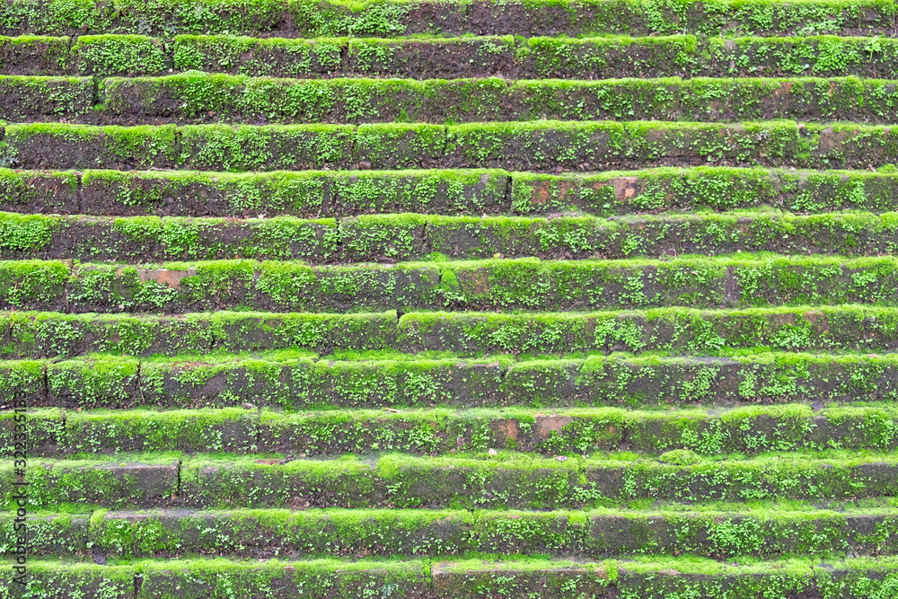 Surface of old brick wall spotted with moss. the vintage wall for abstract background. Surface of old brick wall spotted with moss. the vintage wall for abstract background.