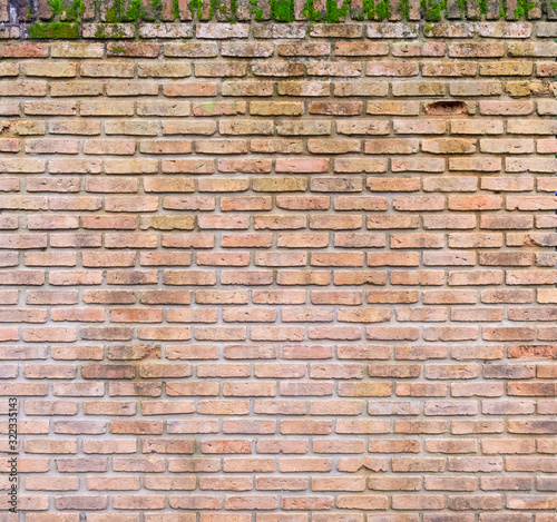 Surface of old brick wall spotted with moss. the vintage wall for abstract background.