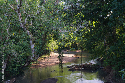 Fototapeta Naklejka Na Ścianę i Meble -  Blick auf einen kleinen Fluss umgeben von Palmen, Sträucher und Bäume, Schönheit der Natur