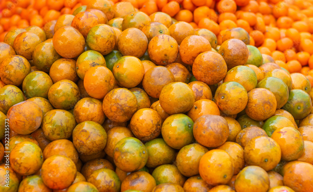 Fresh and Ripe oranges, Fruit photo.