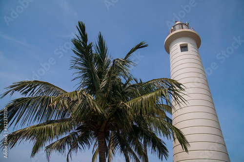 Lighthouse and Palm