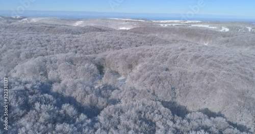 Wallpaper Mural Aerial view in a mountain forest. Winter landscape. Fly over frozen snowy fir and pine trees. Nature concept. Torontodigital.ca