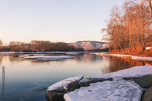 The spring sun near the river illuminates the tree trunks