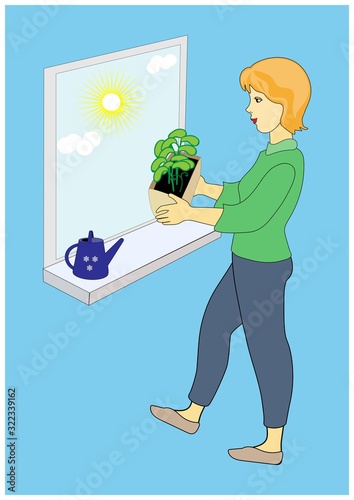 female gardener with green seedlings. cottager. sprouts under the sun. dacha season. Seedlings in a box. flower girl.