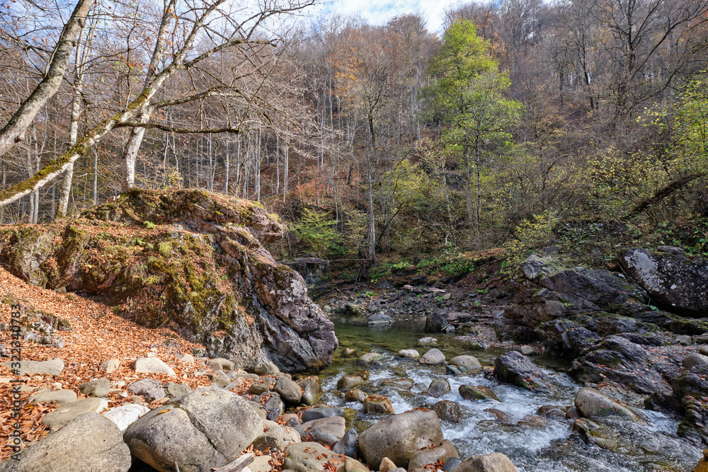 river pool in the autumn forest river pool in the autumn forest