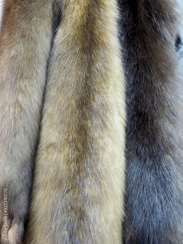 skins of natural fur sable