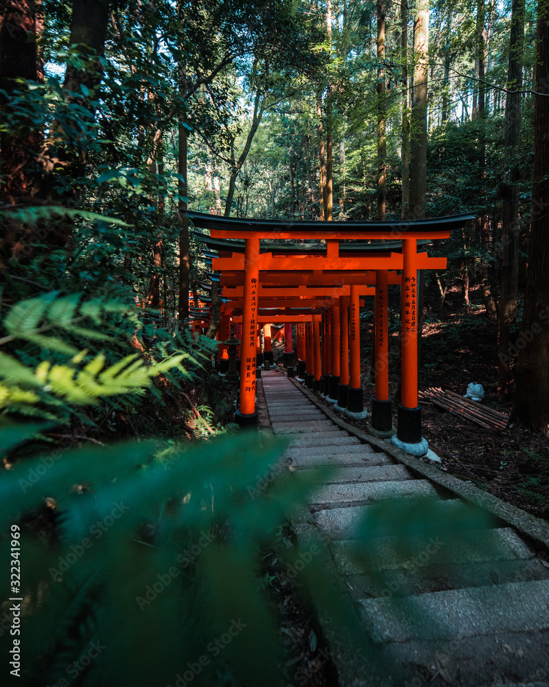 Obraz premium Kyoto n°2