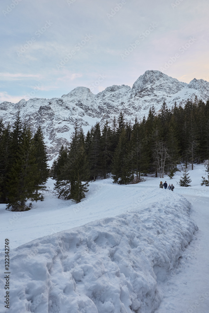 family walking in snowy mountain