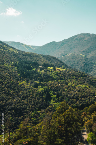 Fototapeta Naklejka Na Ścianę i Meble -  vistas del montseny