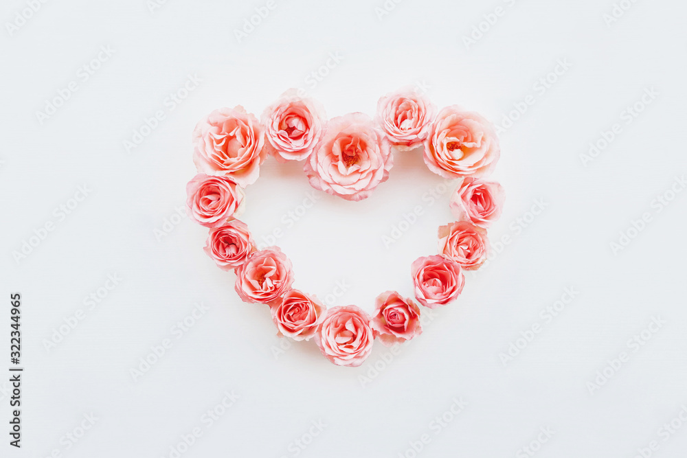 Heart frame made of fresh coral roses in full bloom on white background.