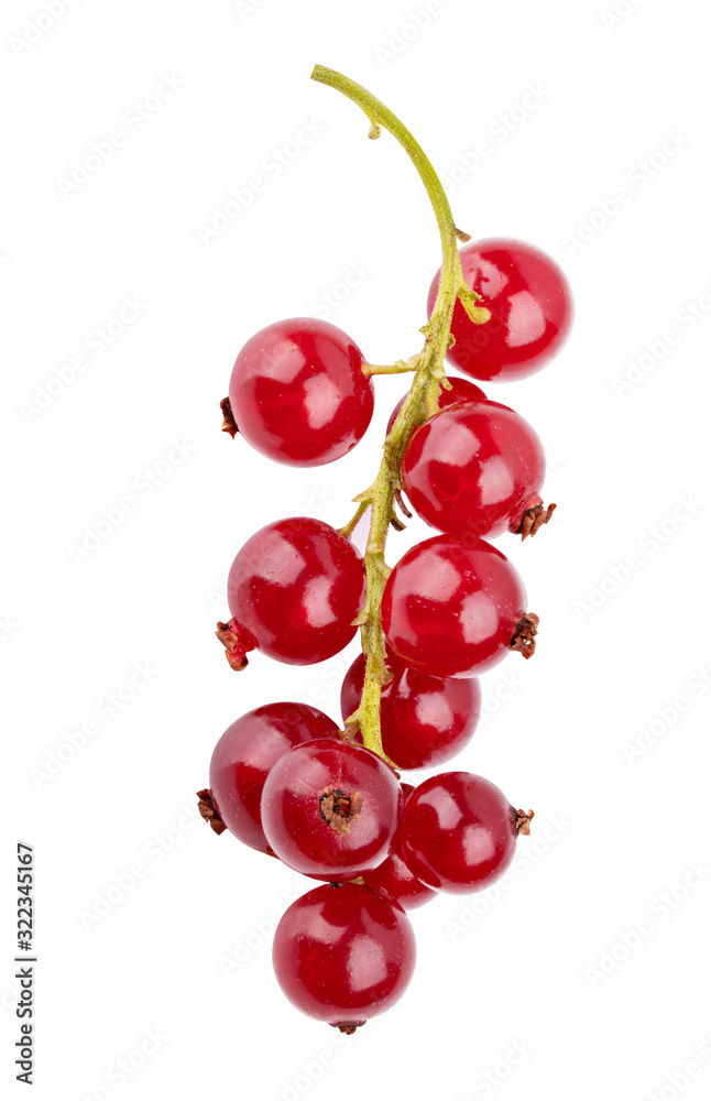 Naklejka Red currant isolated on white background