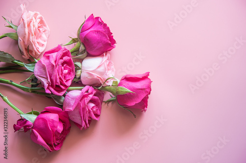 Wallpaper Mural Bouquet of pink roses on a pink background. zero waste gift on Mother's Day. Women's day card. 8 march happy womens day Torontodigital.ca