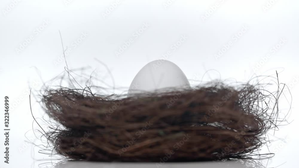 spinning nest with egg on white