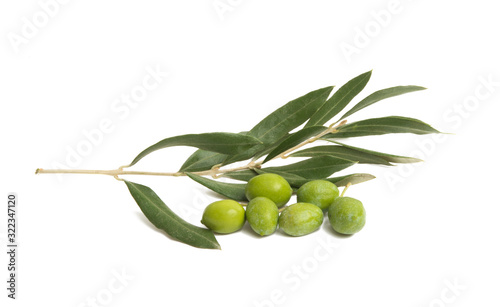 branch with olives isolated