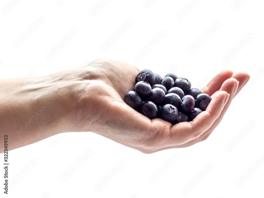 Bunch of blueberries in a hand isolated on white background Bunch of blueberries in a hand isolated on white background