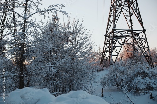 Trees and shrubs with snow-covered bare branches in the background is a tower of electric transmission lines.