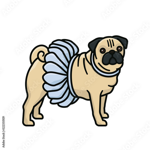 Pug with blue ballet tutu dress isolated vector illustration