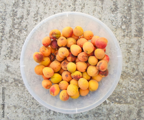 many apricots in a plate. closeup of fresh apricots as background