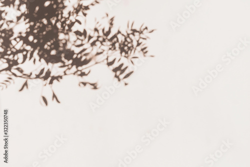 Grey botanical shadows of the leaves on beige wall background. Abstract natural border or frame.