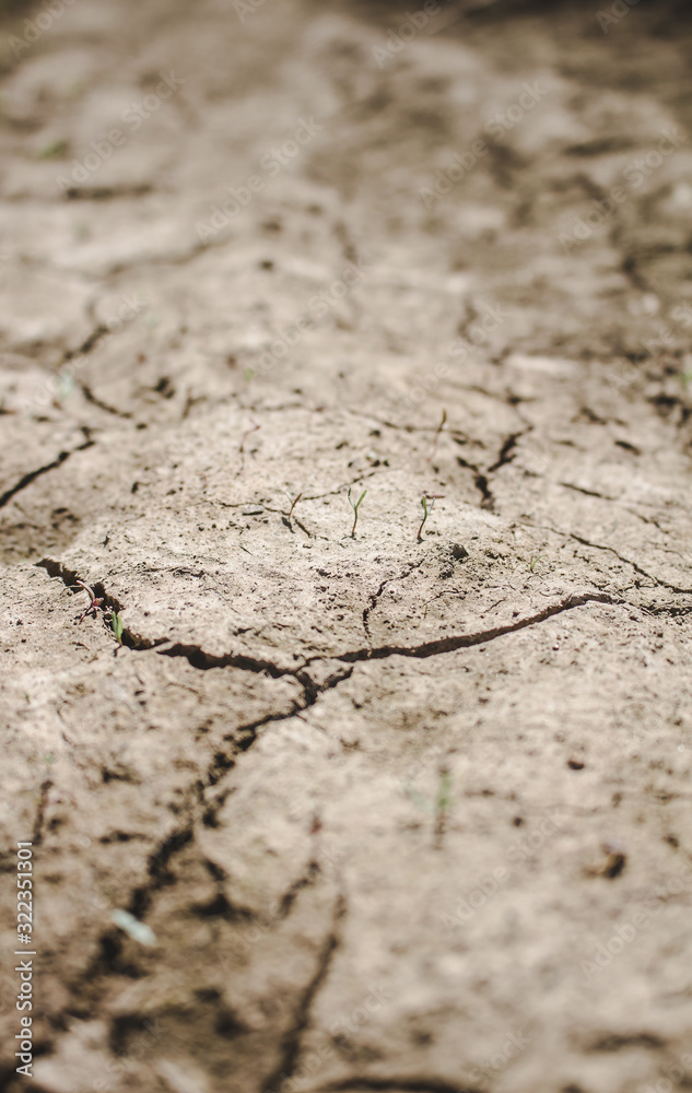Obraz premium dry cracked earth
