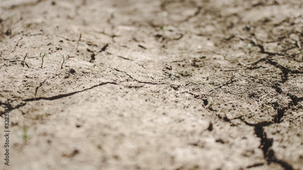 Obraz premium cracked earth background