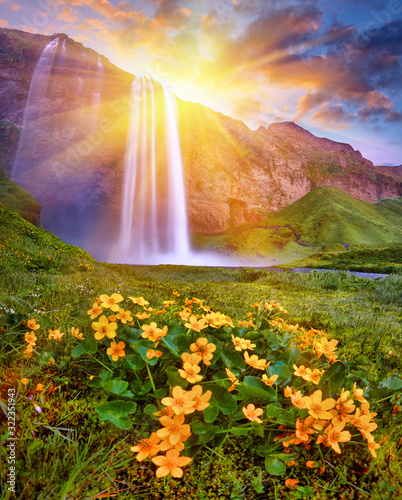 Incredible sunset on Seljalandsfoss. One of the most beautiful waterfalls on the Iceland, Europe. Popular and famous tourist attraction summer holiday destination in on South Iceland. Travel postcard © zicksvift