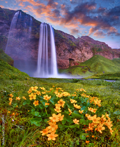 Incredible sunset on Seljalandsfoss. One of the most beautiful waterfalls on the Iceland, Europe. Popular and famous tourist attraction summer holiday destination in on South Iceland. Travel postcard