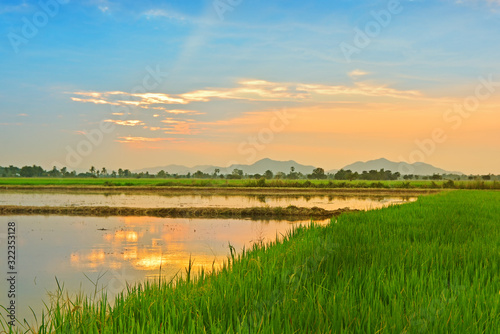 Landscape View Of Beautiful Green fields in the twilight sky