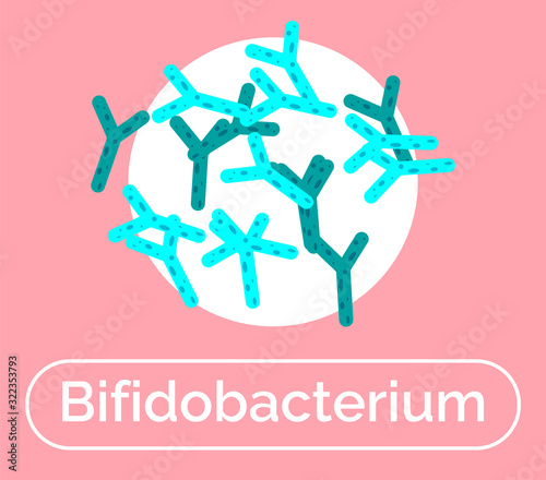 Bifidobacterium good bacteria for human body and digestive system. Nonmotile probiotics with beneficial effect on digestive system and microflora. Gram-positive microorganisms, vector in flat