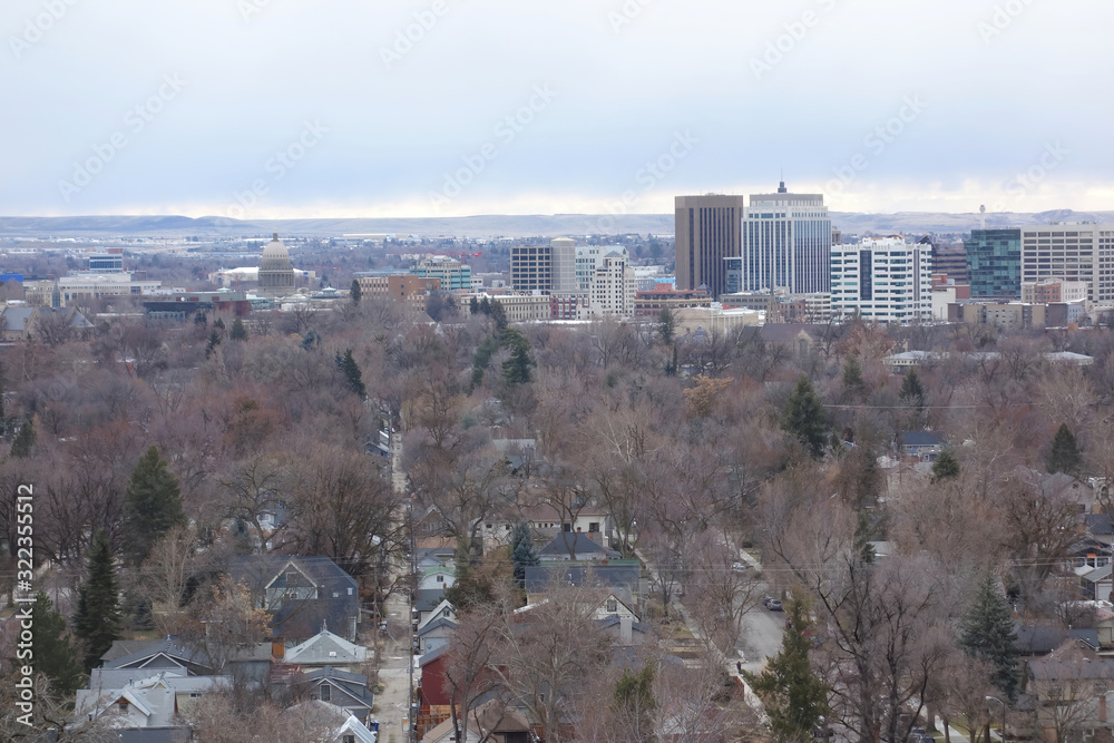 Boise, Idaho cityscape on an overcast winter day showing the state capital building