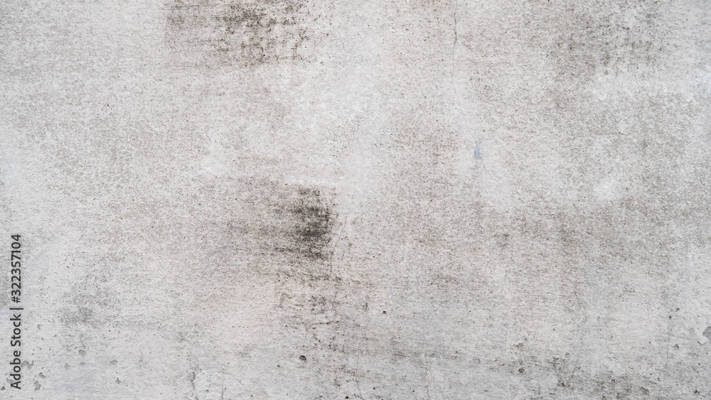 Fototapeta premium White cement wall with cracks And black donkey