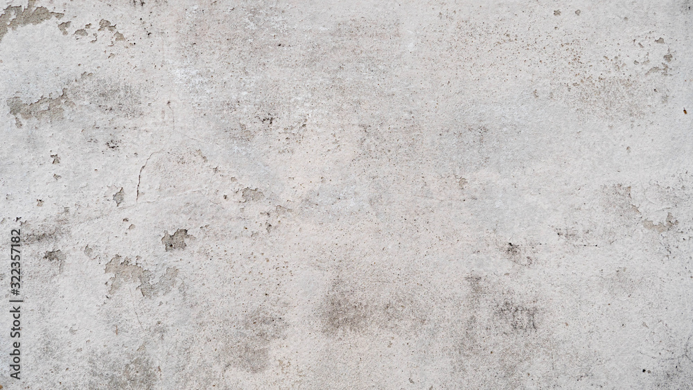 White cement wall with cracks And black donkey White cement wall with cracks And black donkey
