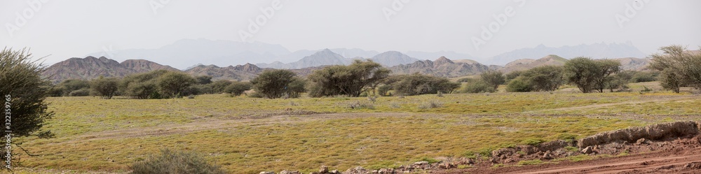 Obraz premium Oman locking to the hills