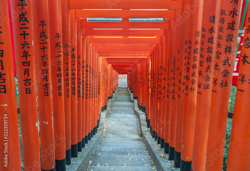 Obraz na plátne Tunnel of Red Torii gates at Hie Shrine, Akasaka, Tokyo