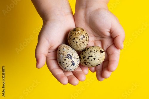 Obraz na plátně Girl holding Easter quail eggs, handful of quail eggs