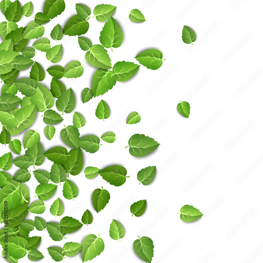 Flying green leaves on white background. Spring leaf pattern on isolated backdrop. Fall fresh leaves plant. Vector illustration Flying green leaves on white background. Spring leaf pattern on isolated backdrop. Fall fresh leaves plant. Vector illustration