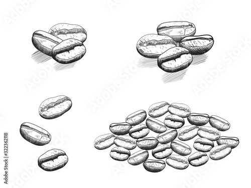 A collection of hand-drawn groups of coffee beans. Vector illustration in sketch style