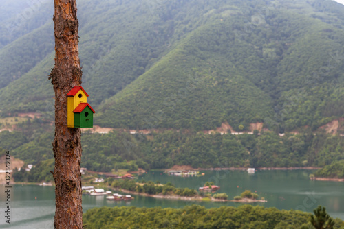 Obraz na płótnie Green birdhouse hanging from tree.