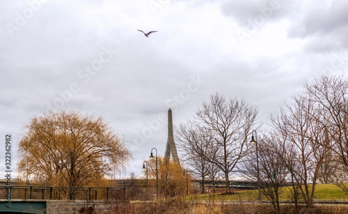 Leonard P. Zakim Bunker Hill Memorial Bridge in downtown Boston  Massachusetts  view from North Point Park.