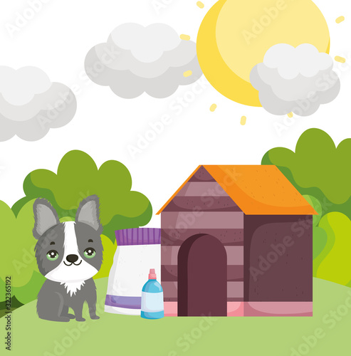 cute dog with house food and bottle outdoor pets