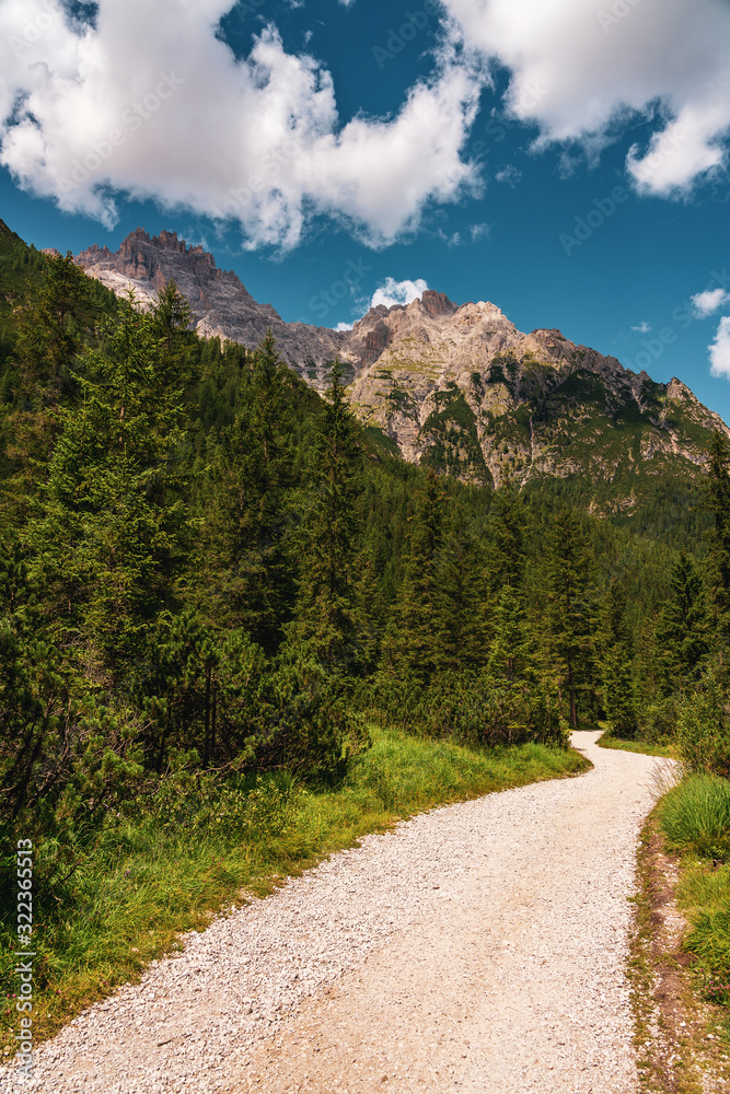 forest path in the Dolomites, Fischlein valley.