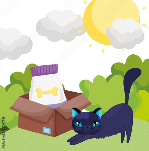Fototapeta Naklejka Na Ścianę i Meble -  cat with food in box outdoor pets