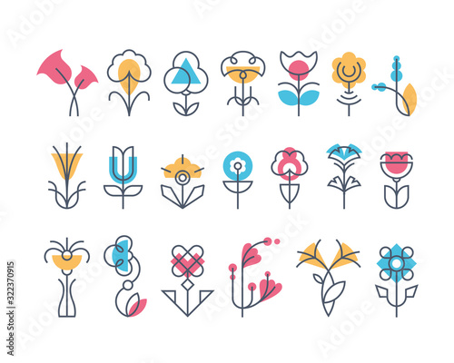 Graphical flower set, line and geometrical floral icons.